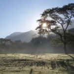 Une belle escapade en Tanzanie